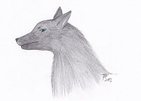 Fanart: Ari Schattenwolf