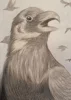 Neuestes Fanart
