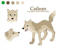 Fanart: Cailean