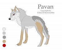 Fanart: Chara-Sheet Pavan