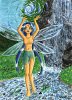 Element-Fairy - Wasser