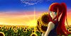 ~*Sunflowers*~ - Animexx Fanart Kalender Wettbewerb 2014