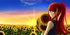 ~*Sunflowers*~ - Animexx Fanart Kalender Wettbewerb 2014