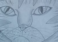 Fanart: #3589 "Pencil Kitty old style"