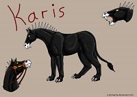 Fanart: Karis Reference-Sheet