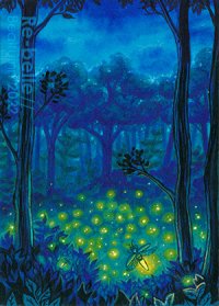 Fanart: Firefly Forest [2022]