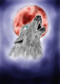 Fanart: Tala als Wolf