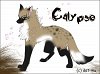 Calypso - Colo