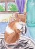 #802 kleine Maus #802 kleine Maus