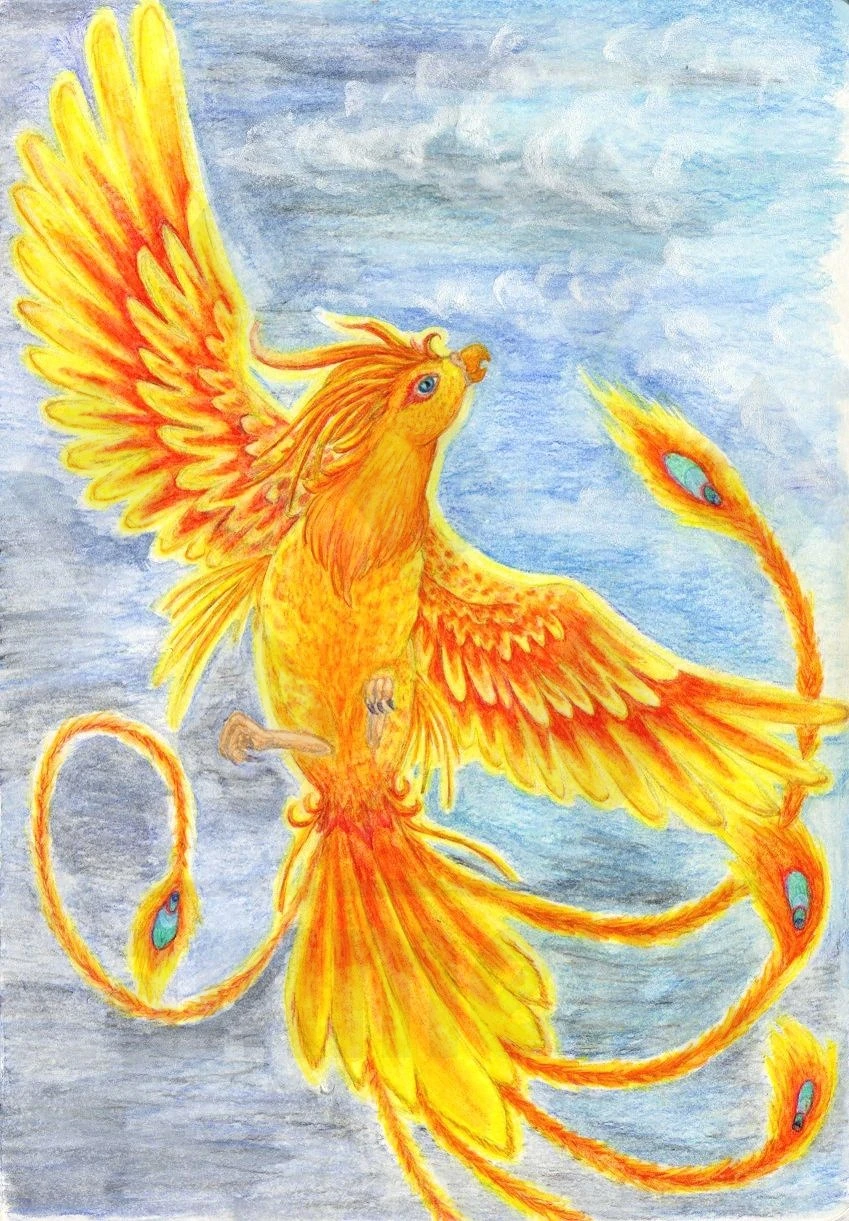 Fanart2