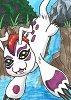 Gomamon #866