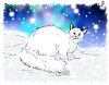 Katze des Winters - Nordlichter