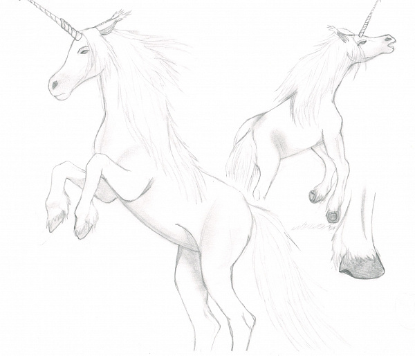 Pferde-zeichnen-Übung die zur Einhorn-zeichnen Übung wurde II (Fanart von  Yuki_Nyu auf Animexx.de) - Animexx.de