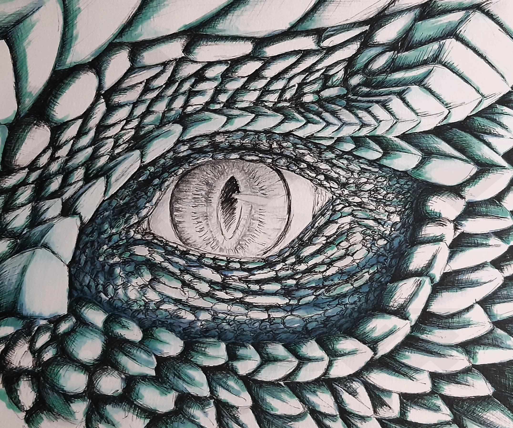 Fanart2