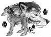 Metalwolf (alte Version)