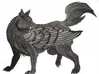Fanart: Akira - Stolzer Alphawolf