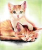 kitties=)