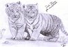 2 Tiger =)