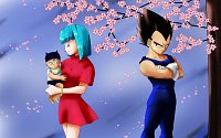 Fanart: Vegeta and Bulma - Hanami