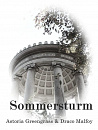 Cover: Sommersturm