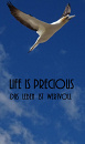 Cover: Life is precious