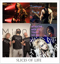 Cover: Slices of Life