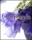 Cover: Campanula