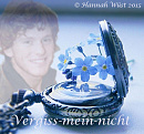 Cover: Vergissmeinnicht