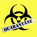 Cover: Q steht für Quarantäne