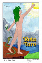 Cover: Rota Taro