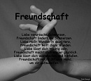 Cover: Freundschaft = Liebe?