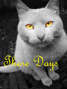 Cover: Thesedays ...