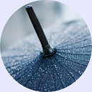 Cover: Regenschirm