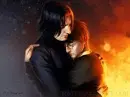 Cover: I`ll never find another you
