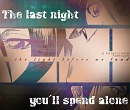 Cover: The last Night you'll spend alone