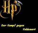 Cover: Schwarze Lilie - Der Kampf gegen Voldemort