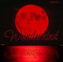 Cover: Wunderkind