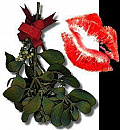 Cover: Mistletoe Kiss
