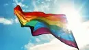 Cover: Was ist Queer?