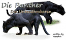 Cover: Die Panther