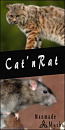 Cover: Cat'nRat