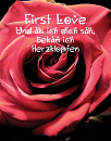 Cover: First Love