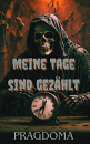 Cover: Meine Tage sind gezählt