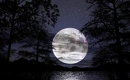 Cover: Moonlight