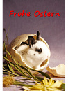 Cover: Frohe Ostern