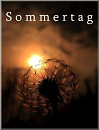 Cover: Sommertag
