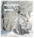 Cover: Schlaflos im Schnee