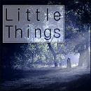 Cover: Little Things