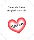 Cover: Die erste Liebe vergisst man nie