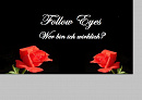 Cover: Follow Eyes